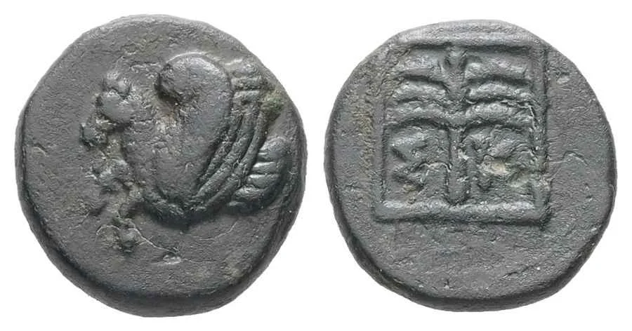 Agesilaos Antik Sikkeler Nümizmatik_SKEP (2).webp