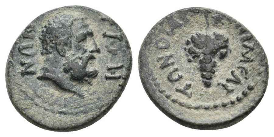  Agesilaos Antik Sikkeler Nümizmatik_SLA (12).jpg