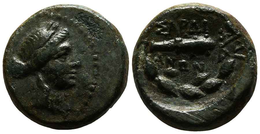 Agesilaos Antik Sikkeler Nümizmatik_SRDS (1).jpg