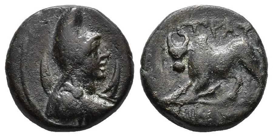 Agesilaos Antik Sikkeler Nümizmatik_STR (7).webp