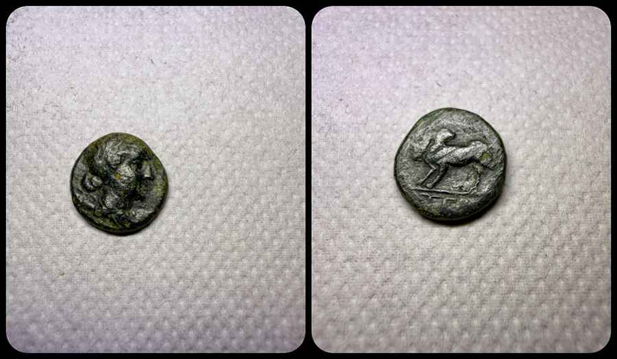 Agesilaos Antik Sikkeler Nümizmatik_TERM (1).jpg