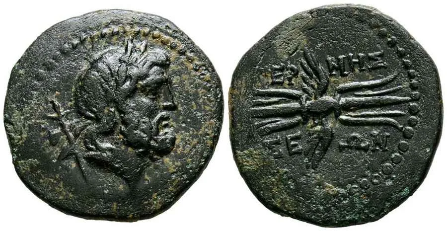 Agesilaos Antik Sikkeler Nümizmatik_TERM (10).webp