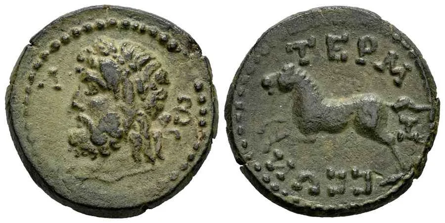 Agesilaos Antik Sikkeler Nümizmatik_TERM (3).webp