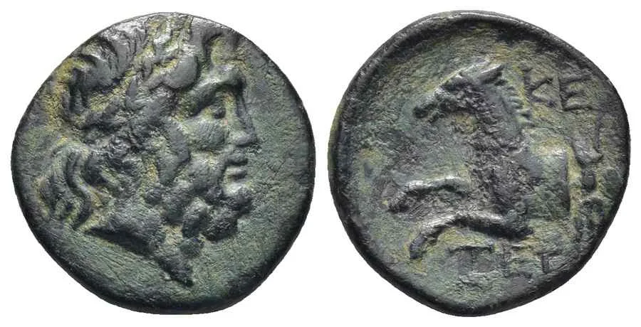 Agesilaos Antik Sikkeler Nümizmatik_TERM (4).webp