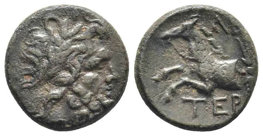 Agesilaos Antik Sikkeler Nümizmatik_TERM (5).webp