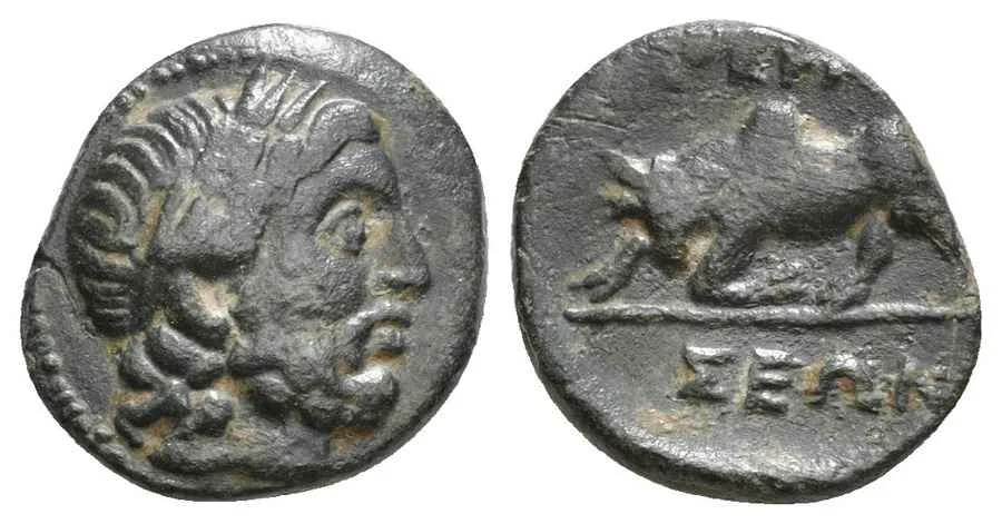 Agesilaos Antik Sikkeler Nümizmatik_TERM (9).webp