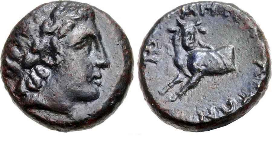 Agesilaos Antik Sikkeler Nümizmatik_TES_MT (6).jpg