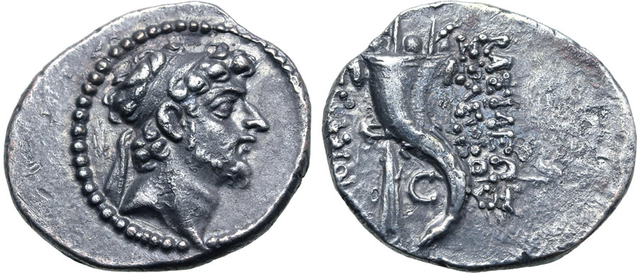 ANTİK SİKKELER NÜMİZMATİK_Seleukos VI Epiphanes4 (1).jpg