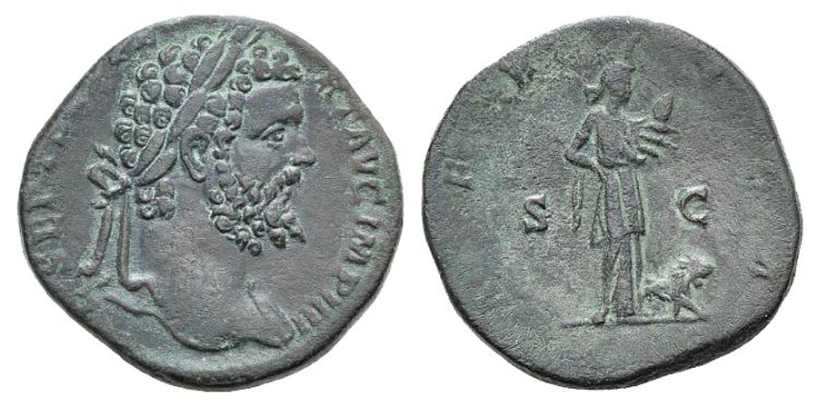 ANTİK SİKKELER NÜMİZMATİK_Septimius Severus  (56).jpg