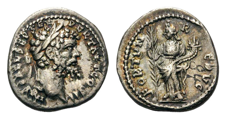 ANTİK SİKKELER NÜMİZMATİK_Septimius Severus  (65).jpg