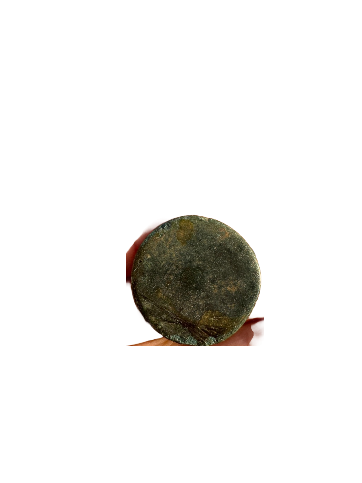 image (1).png